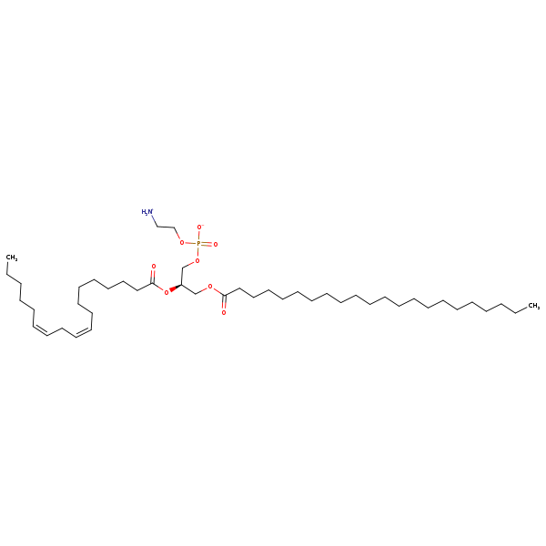 Image of MNXM32625
