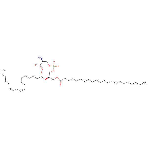 Image of MNXM32626