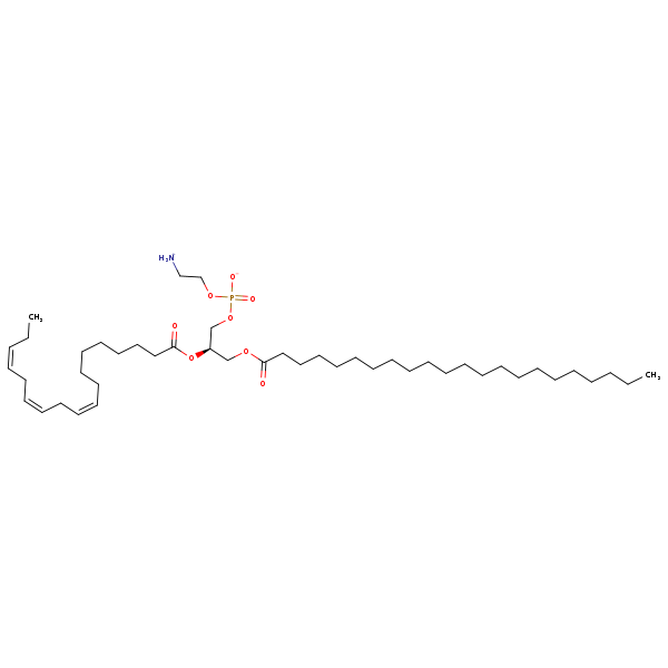 Image of MNXM32628