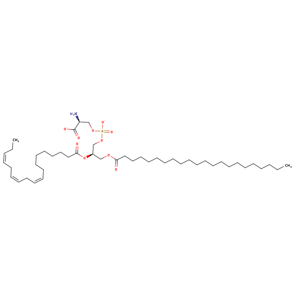 Image of MNXM32629