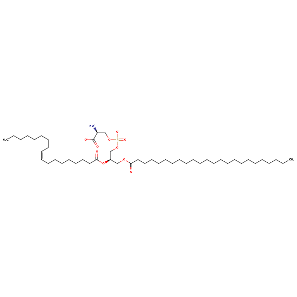 Image of MNXM32634