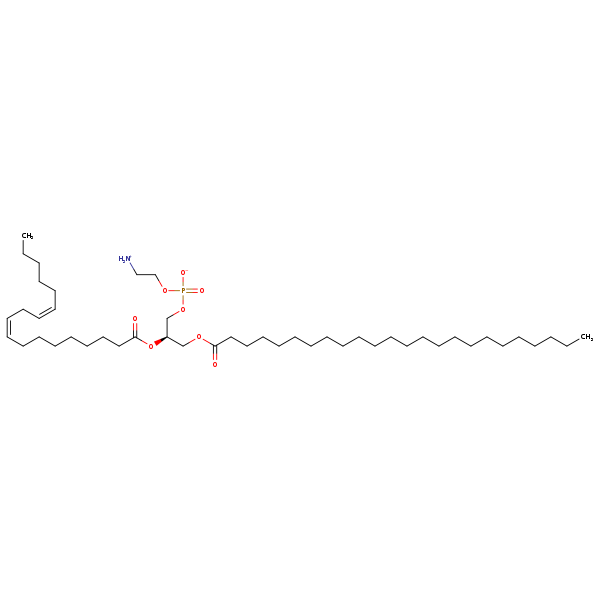 Image of MNXM32635