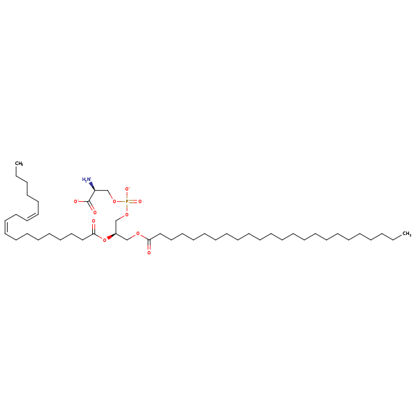 Image of MNXM32636