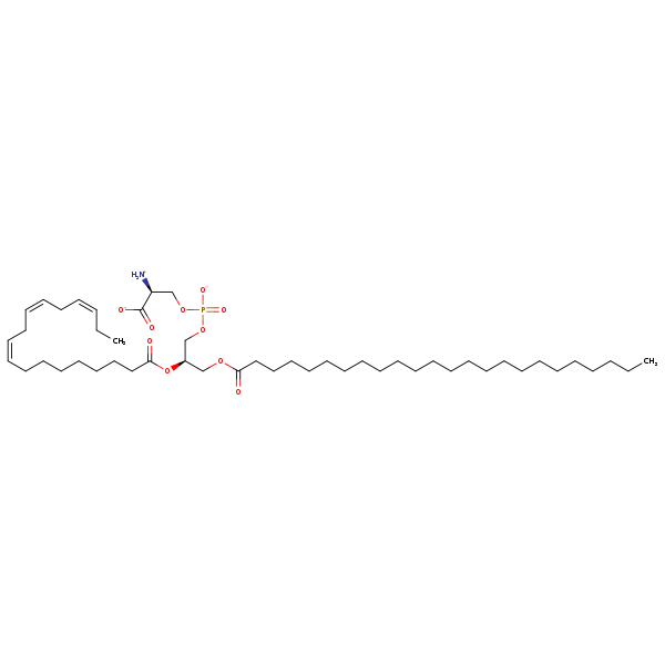 Image of MNXM32638
