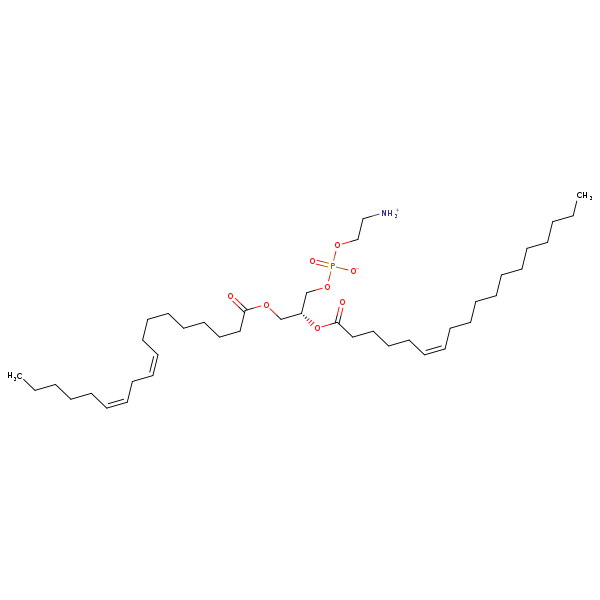 Image of MNXM327145