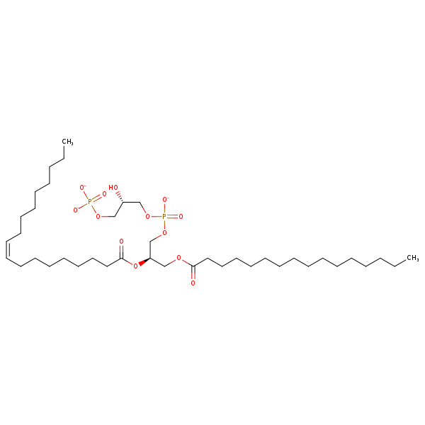 Image of MNXM32791