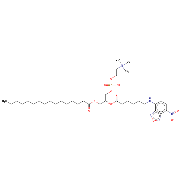 Image of MNXM32802