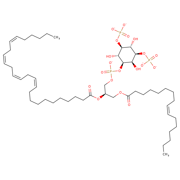 Image of MNXM329031