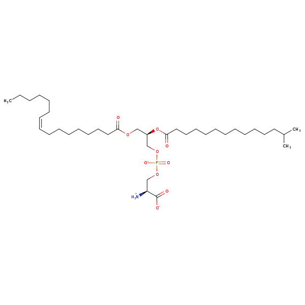 Image of MNXM329335