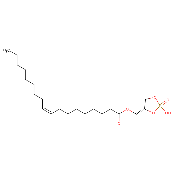 Image of MNXM32959