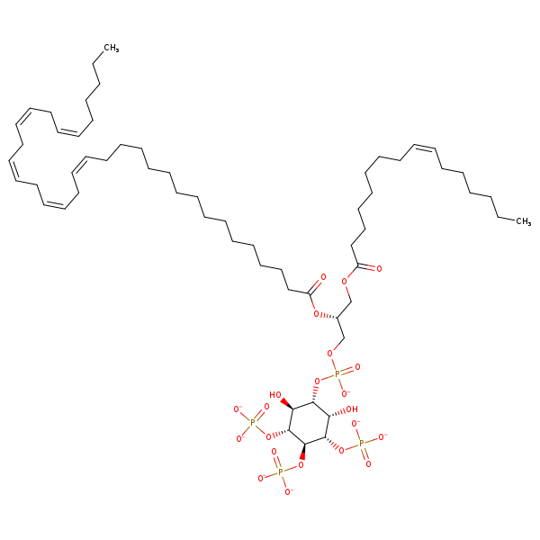Image of MNXM329667