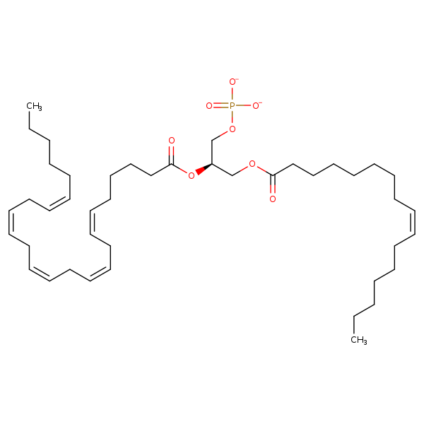 Image of MNXM330212