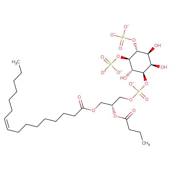 Image of MNXM331137