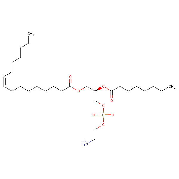 Image of MNXM331686