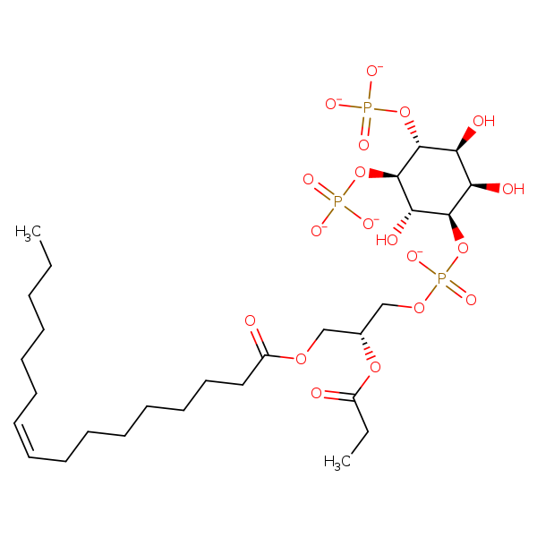 Image of MNXM331750