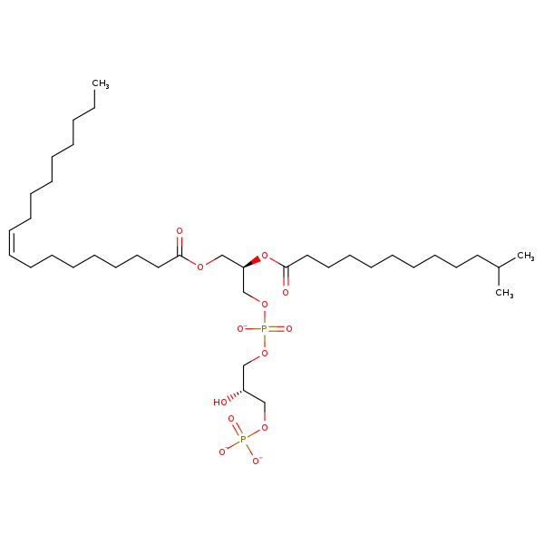 Image of MNXM332204