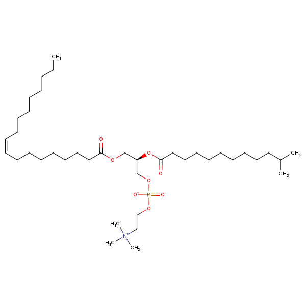 Image of MNXM332214