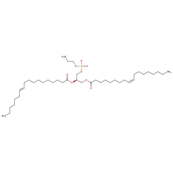 Image of MNXM332279