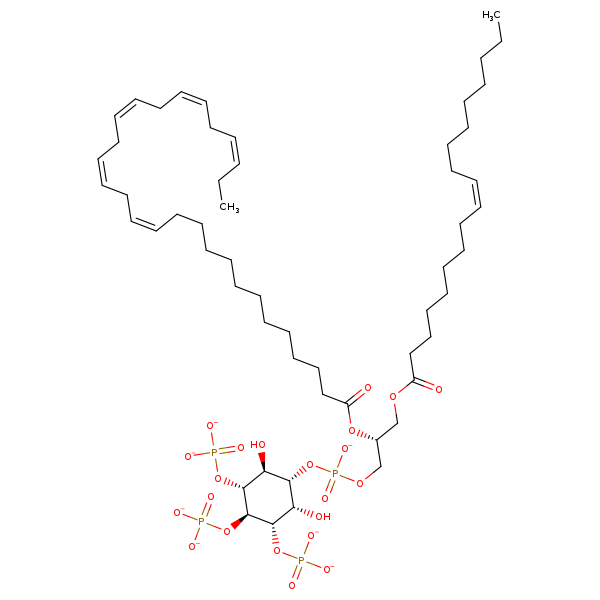 Image of MNXM332609