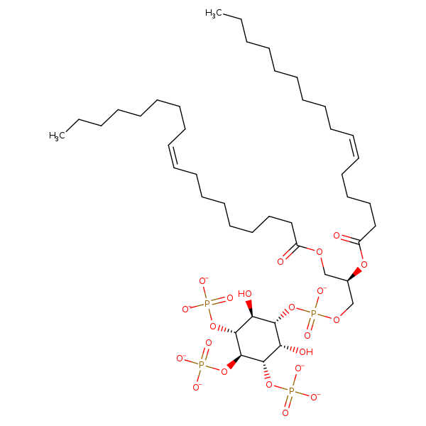 Image of MNXM333630