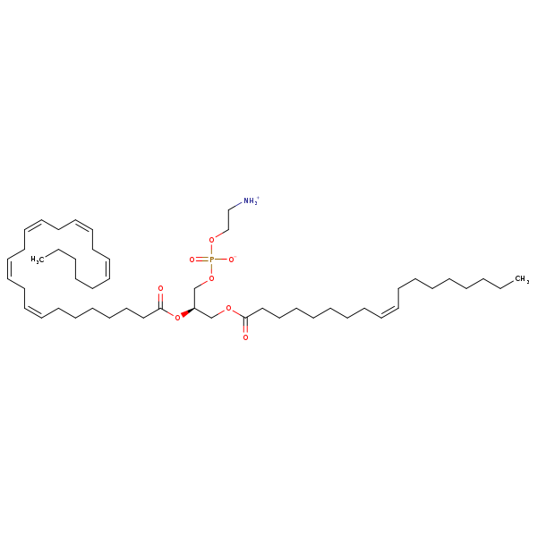 Image of MNXM333839