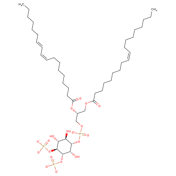Image of MNXM333999