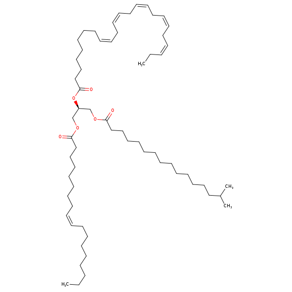Image of MNXM334019