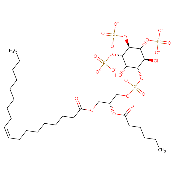 Image of MNXM334814