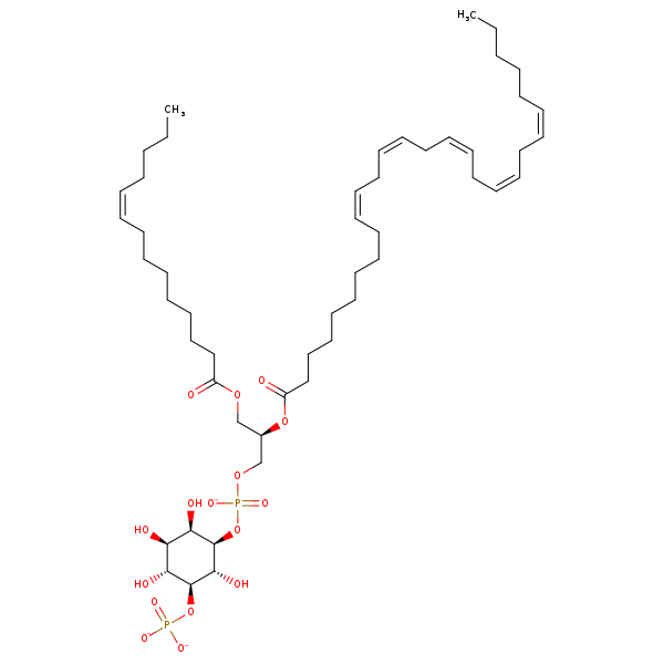 Image of MNXM335379
