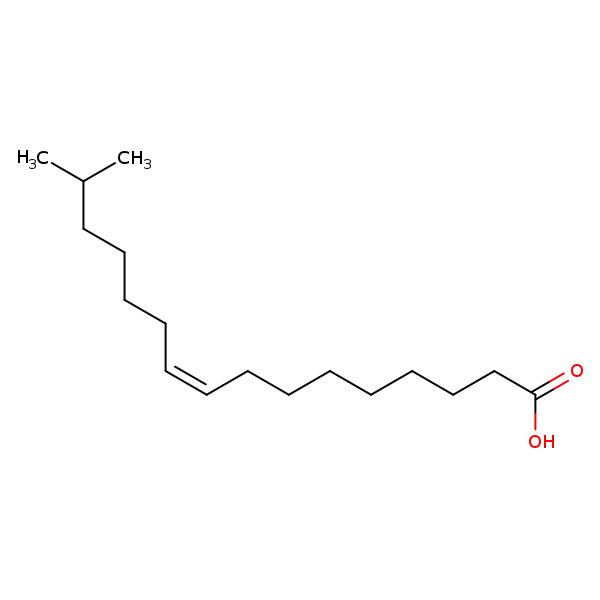 Image of MNXM33542
