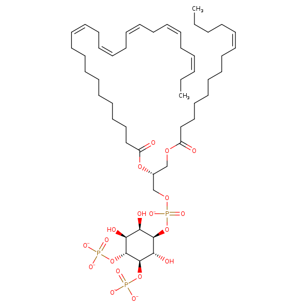 Image of MNXM335581