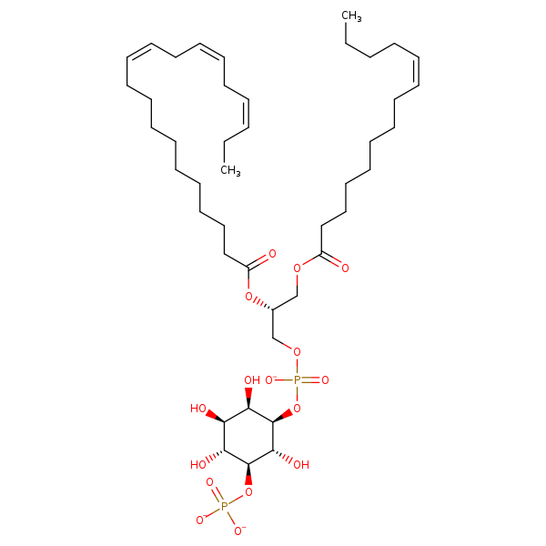 Image of MNXM335661