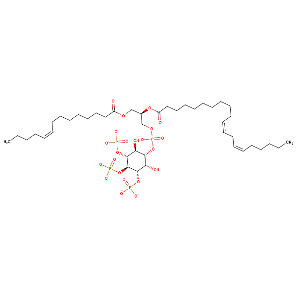 Image of MNXM335705