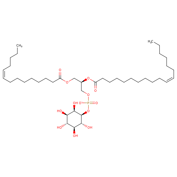 Image of MNXM335806