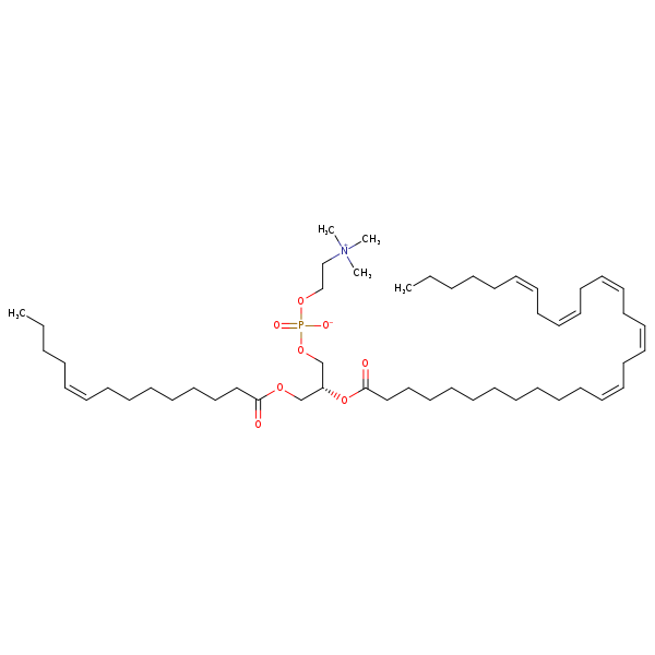 Image of MNXM335841