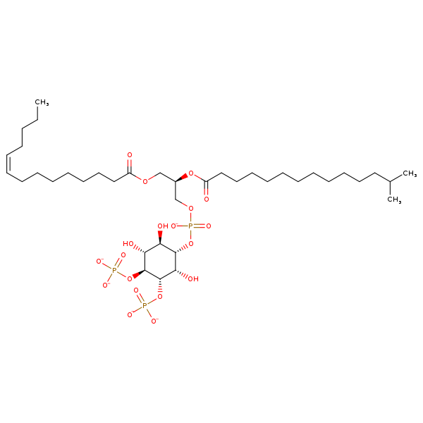 Image of MNXM335898