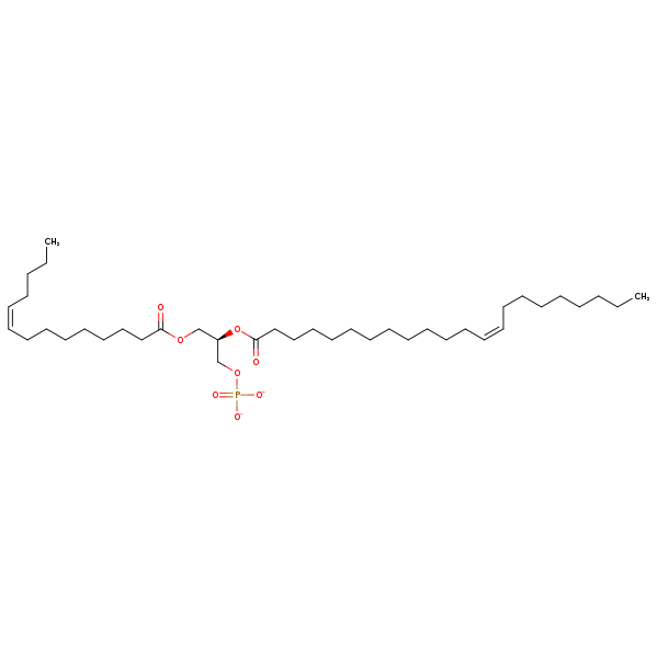 Image of MNXM336035