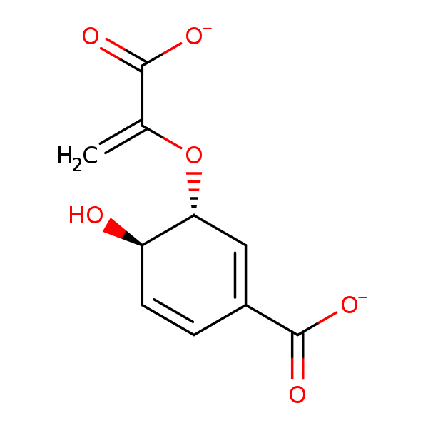 Image of MNXM337