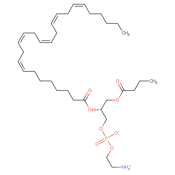 Image of MNXM344078