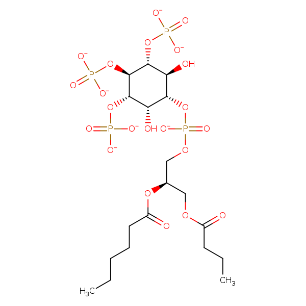 Image of MNXM344362