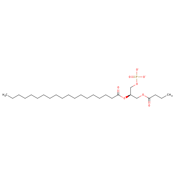 Image of MNXM344372