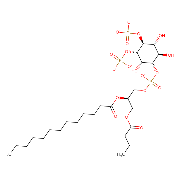 Image of MNXM344502
