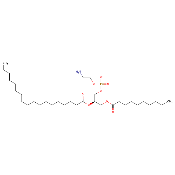 Image of MNXM344807