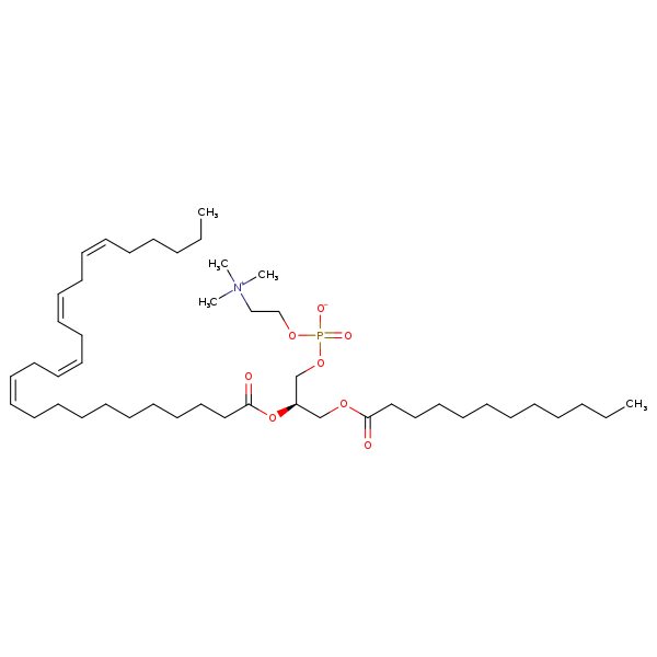 Image of MNXM349701