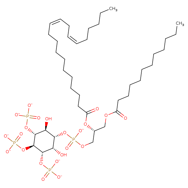 Image of MNXM349808
