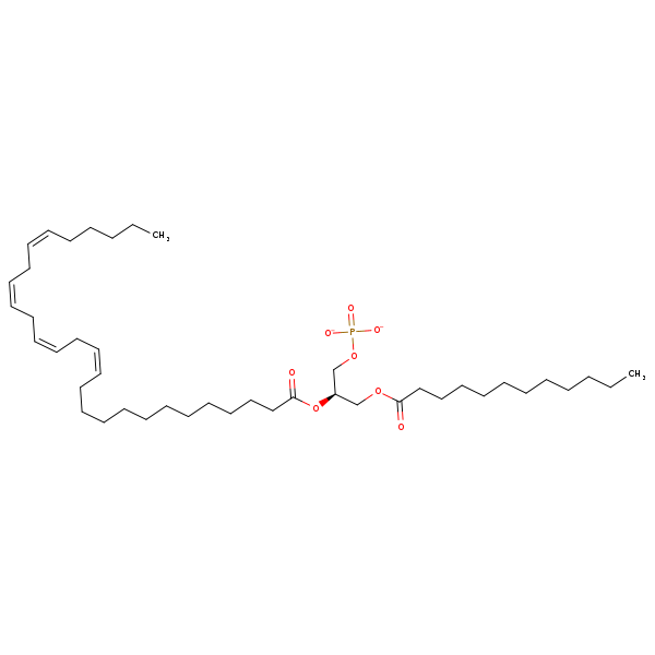 Image of MNXM350032
