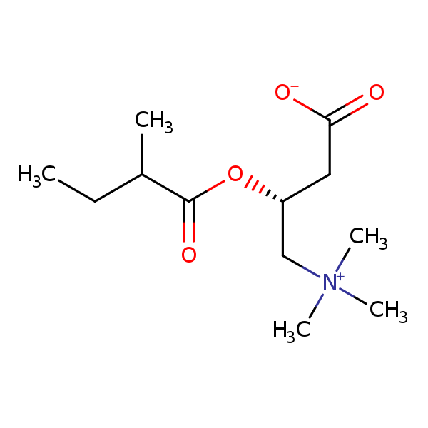 Image of MNXM35280