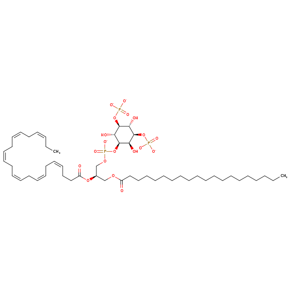 Image of MNXM353874