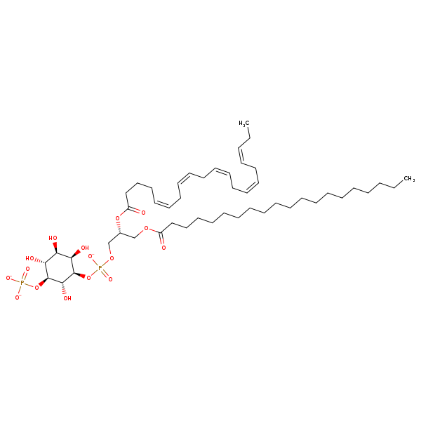 Image of MNXM353989