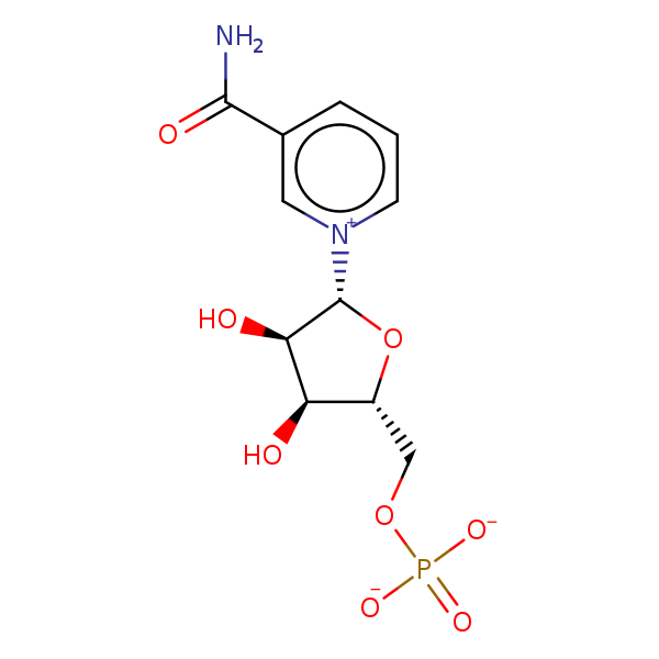 Image of MNXM355